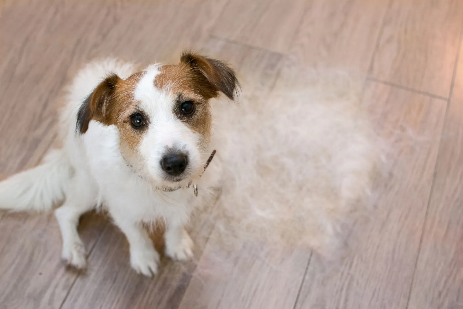 Diamond Bar De-shedding