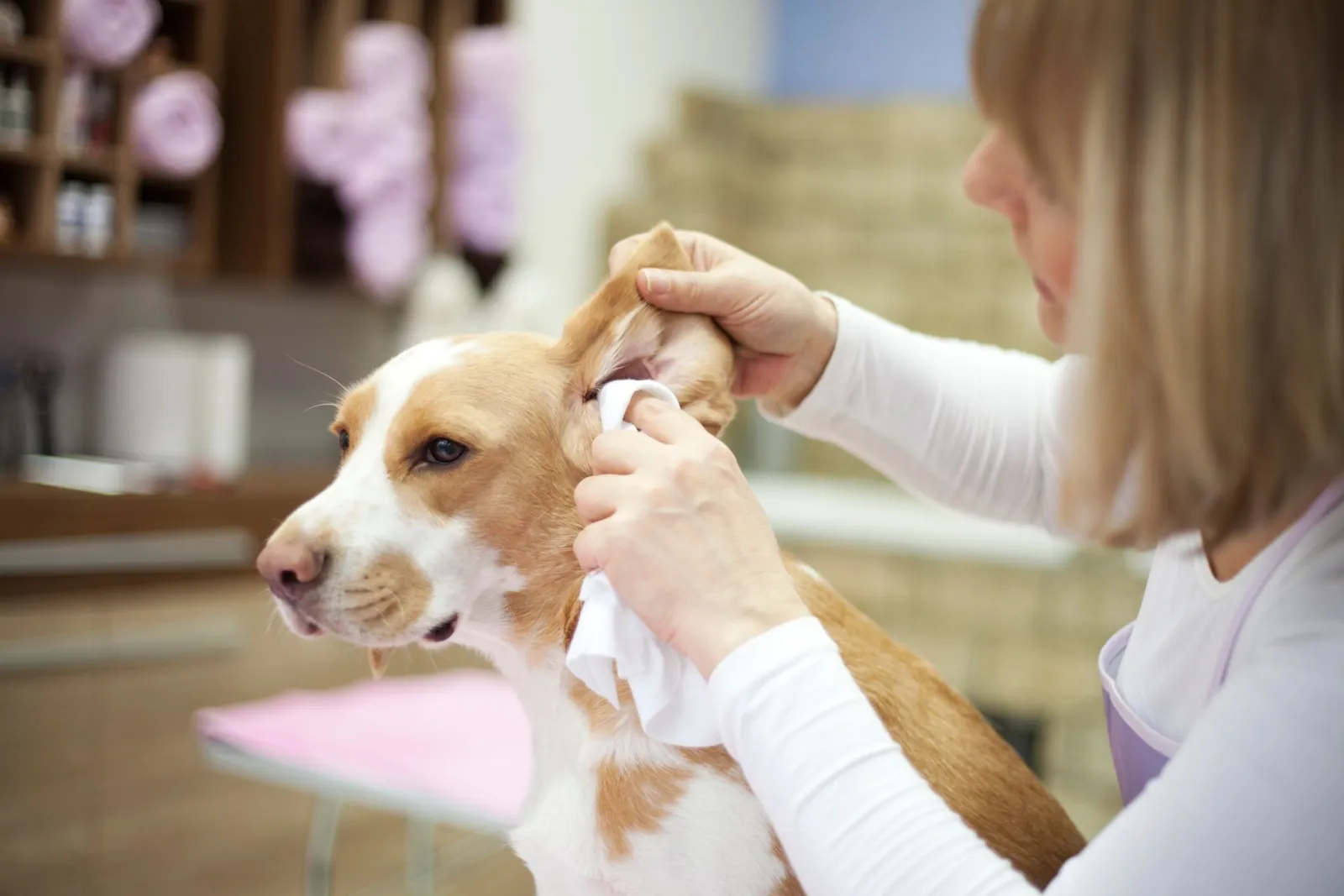 Chino Hills Ear Cleaning