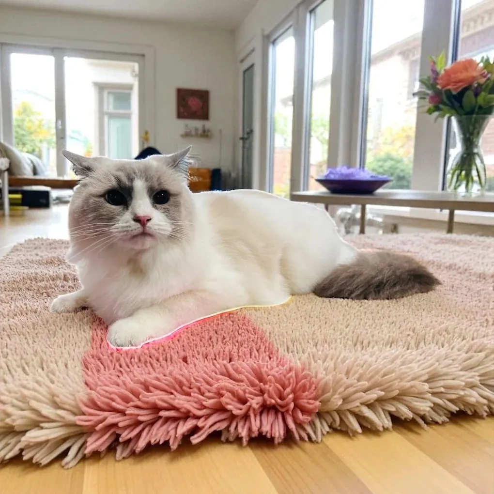 Mobile pet grooming by Loving Lather in Chino Hills